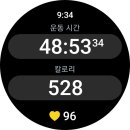 금강산면옥박정식냉면
