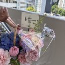 진보끔 | 대박 여름 끝났다 홀룰루