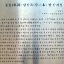 풍동 당산목 및 산치성 네이버블로그