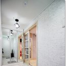 베네스트수 이미지