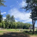 작전목장 | 대한목장 제주 스냅 망한 후기 볼사람