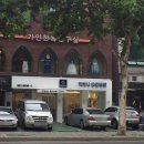 디아나동물병원 | 방배동 디아나동물병원 꽃님이도 좋아해요