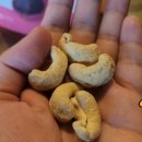 바른너츠