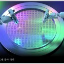 대만 TSMC, 독일에 반도체 공장 짓는다 이미지