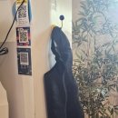 심야라멘트럭 | 경주 로컬맛집 심야라멘트럭 경주점