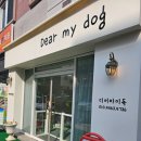 디어 마이 독 | 비강압 긍정강화 수완지구애견미용, 디어마이독