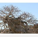 소사4로 이미지