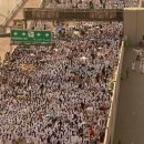 속보) 사우디 50도 폭염에 1300명 때죽음 이미지