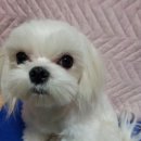 케이스by케이스 이미지