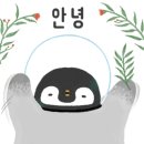 딜리버리퀸 이미지