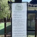 대성리 | [경기도/대성리] 모꼬지댕 애견카페 평일 방문 후기