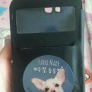 송송펫 이미지