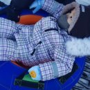 안산사계절썰매장매점