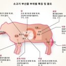 한민족, 소고기 120개 부위로 분류··· 세계에서 가장 세밀하게 먹어/ 나종덕 이미지