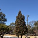 구암마당 | [대전] 유성구 맛집 브런치 “포크앤피클스” 방문후기 | 구암동맛집, 구암동브런치