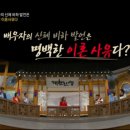 대찬컨설팅 이미지