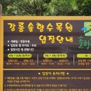 솔향펜션 이미지