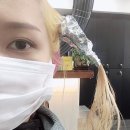 다미안미용실