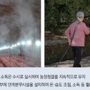 무항농장 이미지