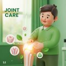 글루코사민의 효능 5가지: 관절과 연골 건강을 위한 필수