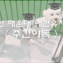 주견야독 이미지