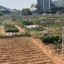 경인농장2 이미지