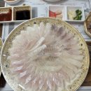 바다갈매기| 대구 봉덕동 맛집 자연산 횟집 모듬회 후기