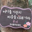 롯데큰나무공인중개사사무소 이미지