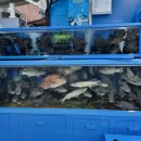 마산내서읍보건지소 이미지