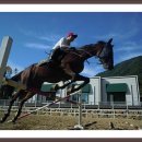 화이트 밸리 이미지