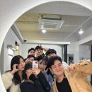 매일같이 발악하는 인생