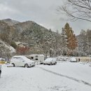 성수산 왕의숲 국민여가캠핑장 이미지