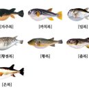 기장복국 이미지