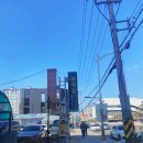 오늘의 밥 :: 안성 새로 오픈한 편백집 &amp; 샤브샤브 무한리필 맛춤 편백집 안성점