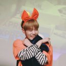 모리모리
