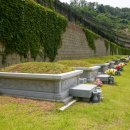 무궁화공원 | 🌳 평온함이 느껴지는 명당 수목장 추천, 무궁화공원묘원 다녀왔어요