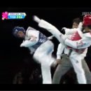 정도태권도 이미지