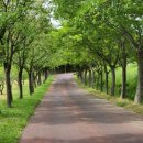 엑스포공원 이미지