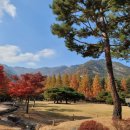 금오산모텔 이미지