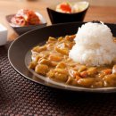 다양하개 이미지