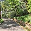 화원유원지 이미지