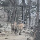 가창로176길 이미지