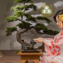 스테이모리 이미지