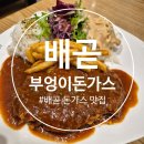 부엉이야 | 시흥 배곧 돈가스 가성비 맛집 부엉이돈가스 내돈내산 후기