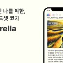 주식회사 라이프코치