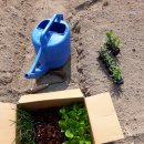 주혜농장 이미지