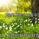 들꽃사랑 이미지