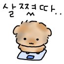 구월갈비 이미지