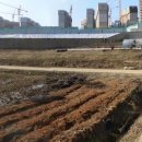 행정법인 도움 행정사 합동사무소 네이버블로그