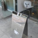 스테인동백